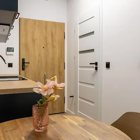 Апартаменты Homewell Lofty Nad Warta *
